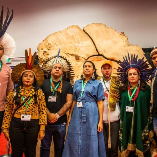 Anmiga vai ao Canadá defender a vida das indígenas mulheres e a biodiversidade